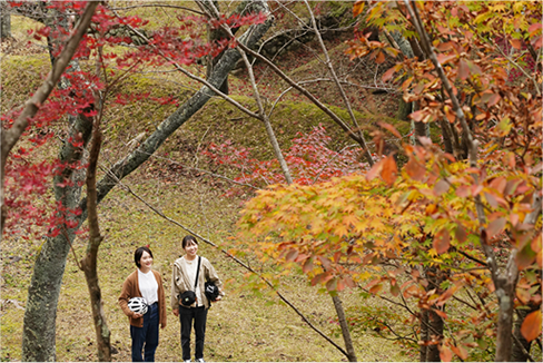 山荘跡裏道ルートライド